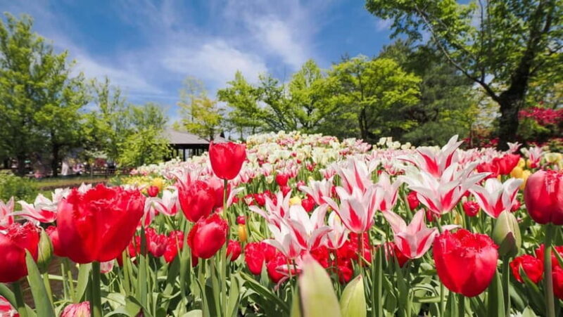 From Kanazawa: Tonami Tulip Festival and UNESCO Gokayama - Visiting Inami: A Village of Craftsmanship