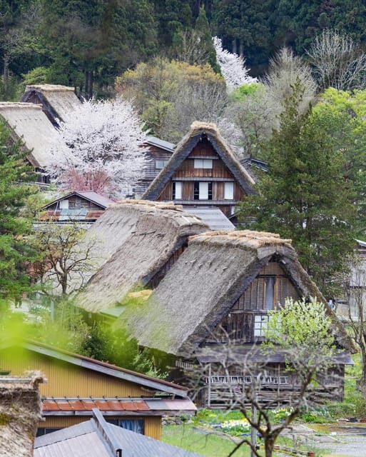 From Kanazawa/Toyama: Shirakawago and Takayama Day Tour - Going Beyond the Surface: The Authentic Experience