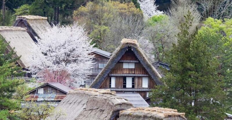 From Kanazawa/Toyama: Shirakawago and Takayama Day Tour - Who Will Love This Tour?