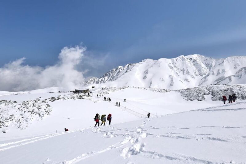 From Kanazawa/Toyama: Snow Wall & Mysterious Valley Day Tour - Who Should Consider This Tour?