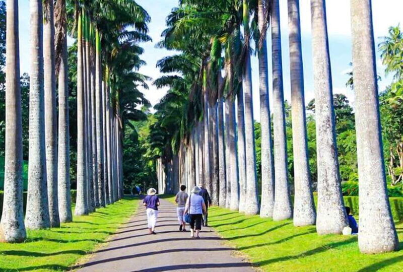 From Kandy: All Inclusive Full-Day Tour in Kandy - Private - Discover Kandy’s Treasures with an All-Inclusive Full-Day Private Tour
