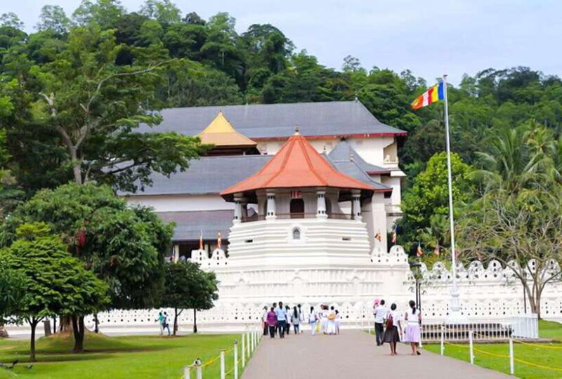 From Kandy: All Inclusive Full-Day Tour in Kandy - Private - Good To Know