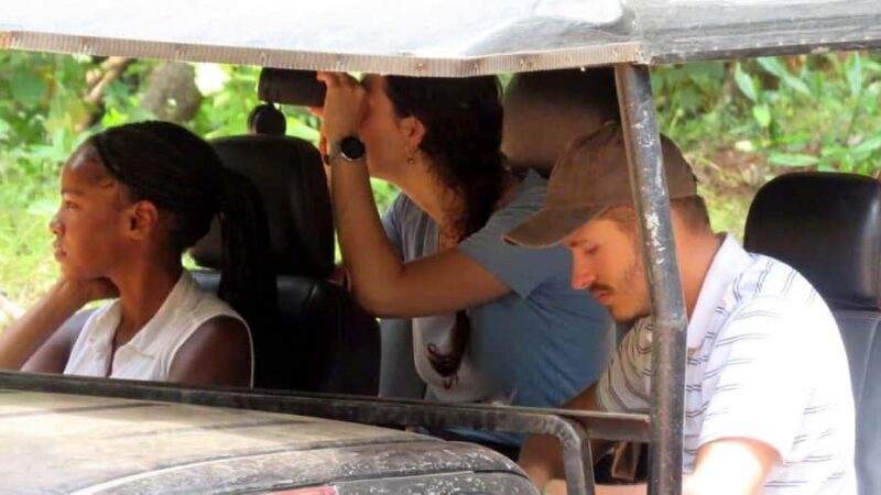 From Kandy: All Inclusive Half/Full Day Wilpattu Safari - From Kandy: All Inclusive Half/Full Day Wilpattu Safari