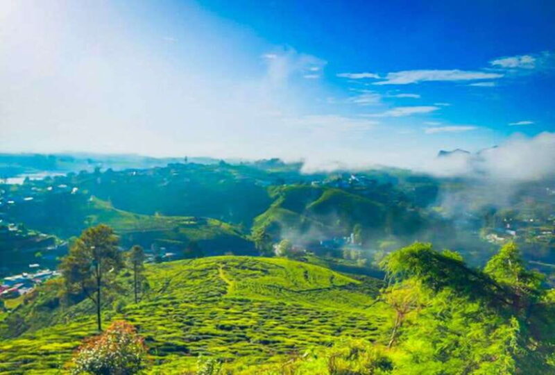 From Kandy: All Inclusive Nuwara Eliya Day Tour with Lunch - The Value of This Tour