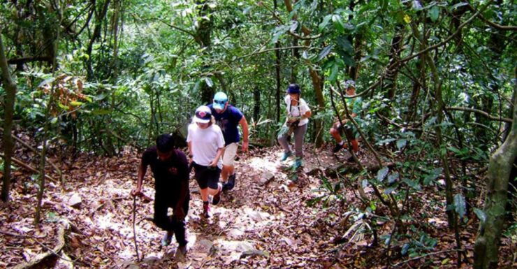 From Kandy: Bird Watching Tour to Udawatte Kele Sanctuary - Experience Highlights