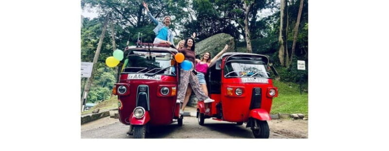 From Kandy: Dambulla to Sigiriya Day Tours - Final Thoughts