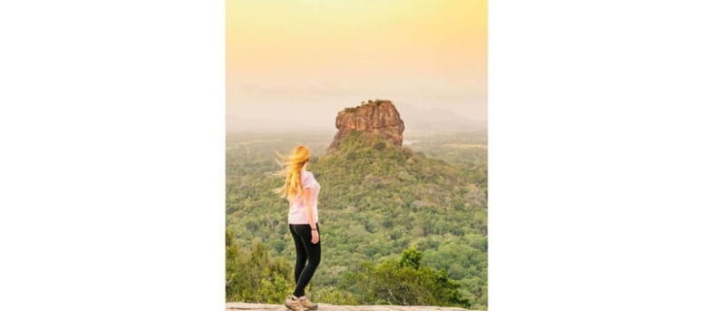 From Kandy: Dambulla to Sigiriya Day Tours - Who Should Consider This Tour?