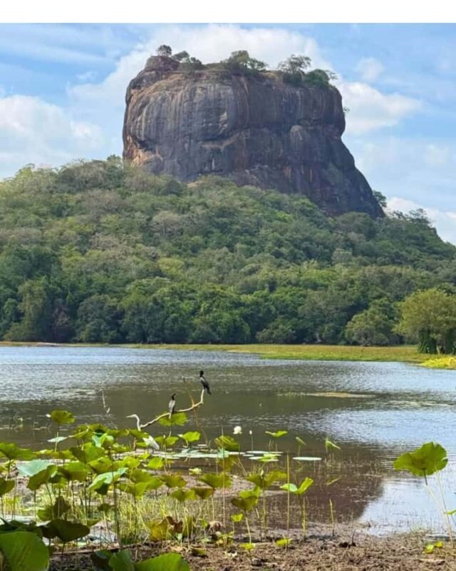 From Kandy: Dambulla to Sigiriya Day Trip By Car - The Detailed Itinerary: What You’ll Experience