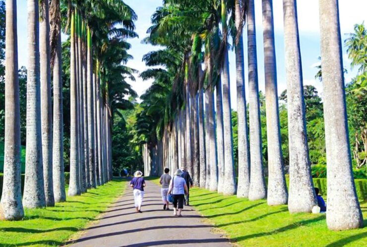 From Kandy: Full-Day Kandy Tour With Lunch - Tour Highlights