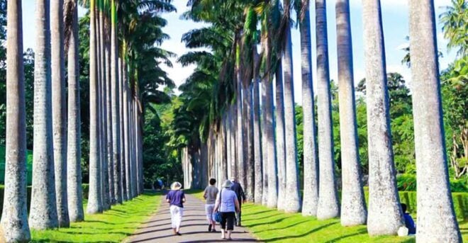 From Kandy: Full-Day Kandy Tour With Lunch - Inclusions
