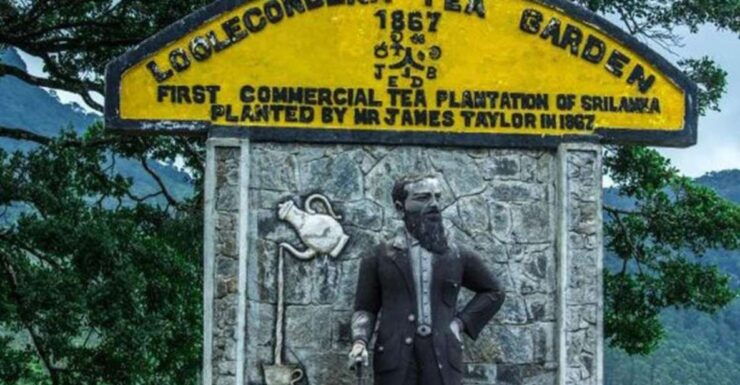 From Kandy: James Taylor's Tea Plantation Tour - Pickup and Drop-off Locations