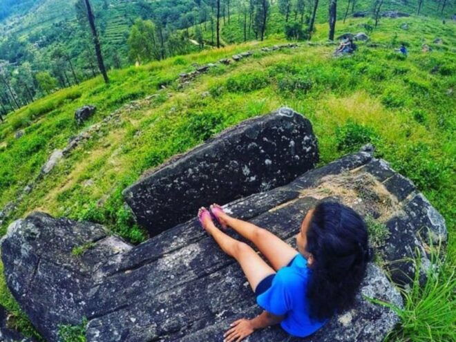 From Kandy: James Taylor's Tea Plantation Tour - Nuwara Eliya Tea Plantations