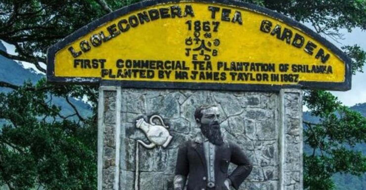 From Kandy: James Taylor's Tea Tour (The Tale of Ceylon Tea) - Good To Know