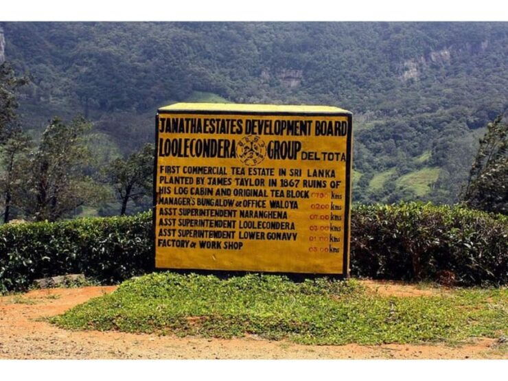 From Kandy: James Taylor's Tea Tour (The Tale of Ceylon Tea) - Itinerary and Experience
