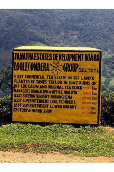 From Kandy: James Taylor's Tea Tour (The Tale of Ceylon Tea) - Tips for an Enjoyable Experience