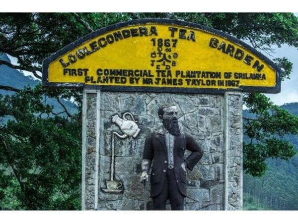 From Kandy: James Taylor's Tea Tour (The Tale of Ceylon Tea) - Frequently Asked Questions
