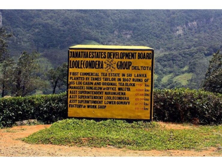 From Kandy: James Taylor's Tea Tour (The Tale of Ceylon Tea) - Tour Overview