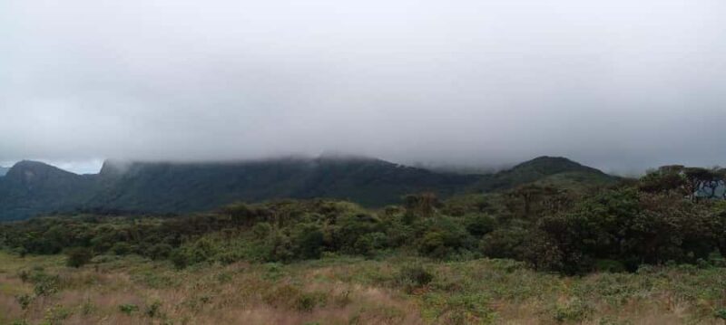 From Kandy: Knuckles Mountain Range Exploration Day Tour - The Sum Up