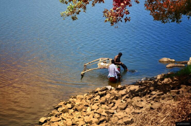 From Kandy: Mahiyanganya and Dambana Day Trip - Tour Highlights
