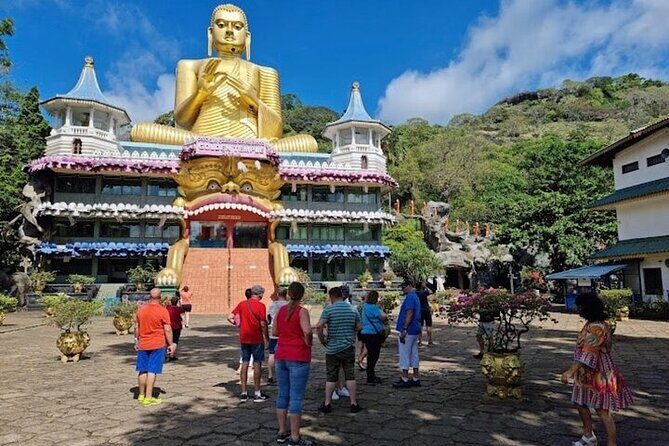 From Kandy: Minneriya Wildlife Safari and Heritage Day Tour - Practicalities & Tips