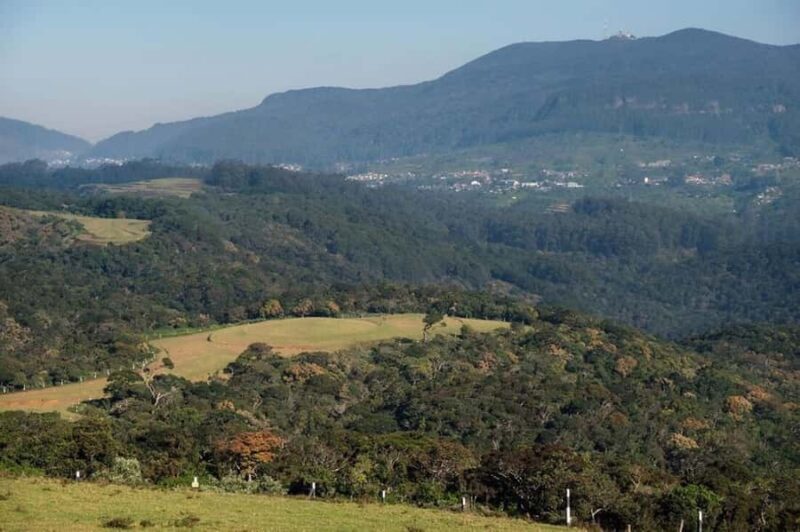 From Kandy: Moon Plains Highlands Viewpoint Experience - Good To Know