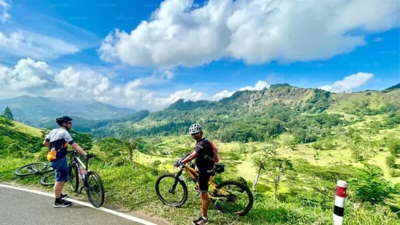 From Kandy: Mountain Biking Adventure to Nuwara Eliya - Good To Know