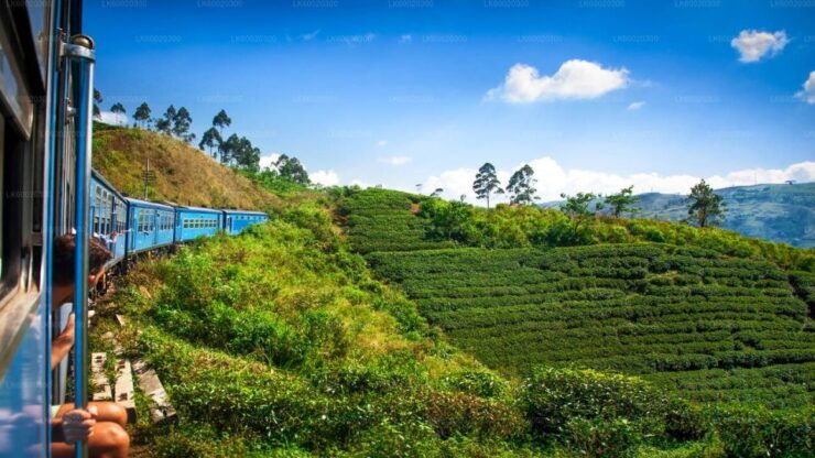 From Kandy: Nuwara Eliya by Train - Activity Details