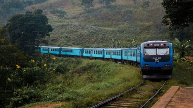 From Kandy: Nuwara Eliya by Train - Full Itinerary