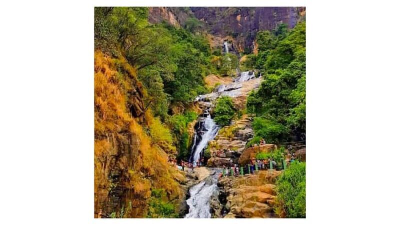 From Kandy: Nuwara Eliya Day Tours (Ambewela Railway Drop) - What Travelers Should Expect