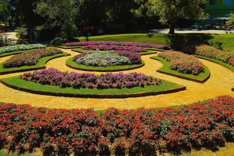 From Kandy: Nuwara Eliya Tour via Ambuluwawa [Private Tour] - FAQ