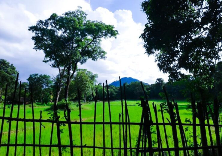 From Kandy: Overnight Tour to Mahiyanganaya - Experience Highlights