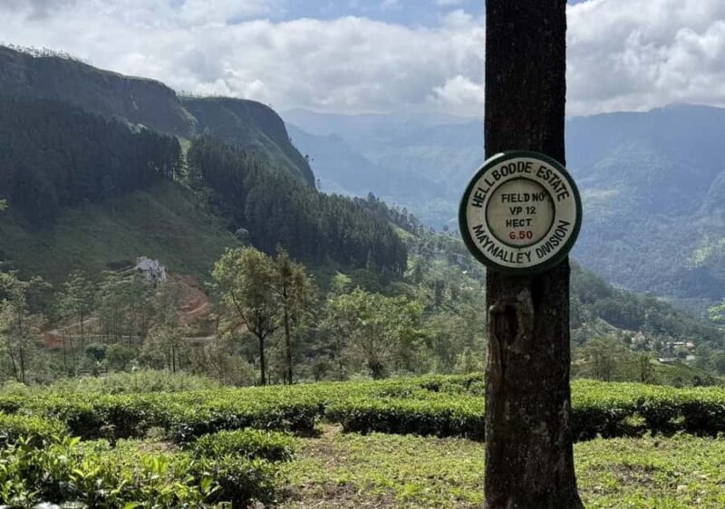 From Kandy: Pekoe Trail Stage 3 Guided Hike - Final Thoughts