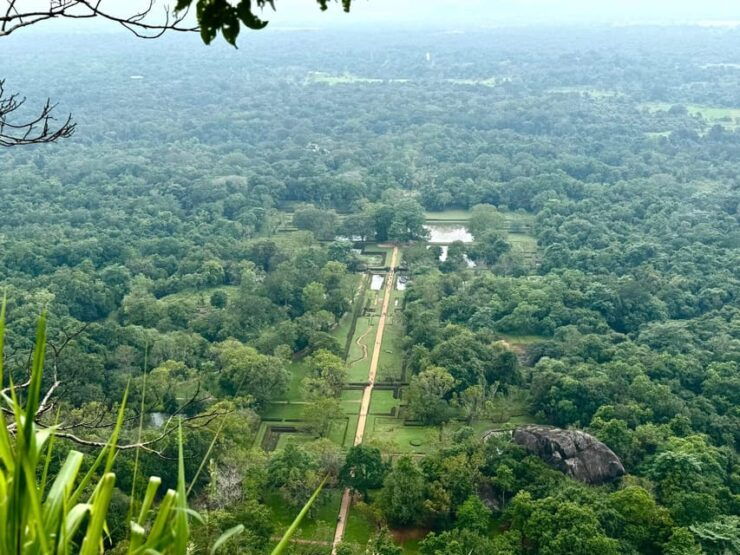 From Kandy: Pidurangala Rock and Minneriya National Park - Good To Know