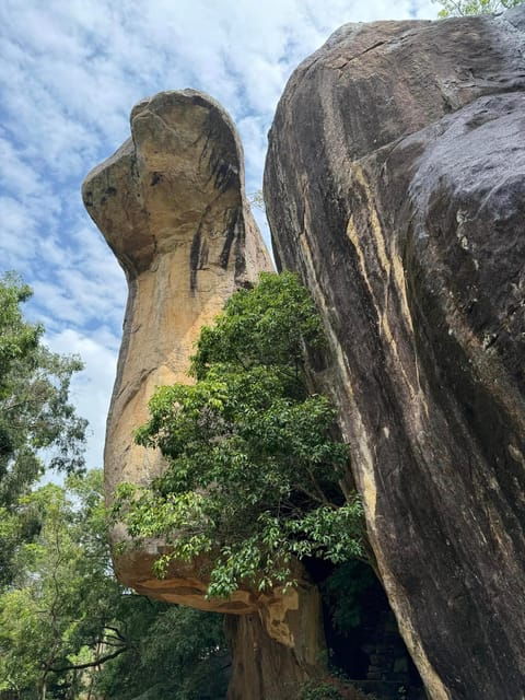 From Kandy: Pidurangala Rock and Minneriya National Park - Experience Details