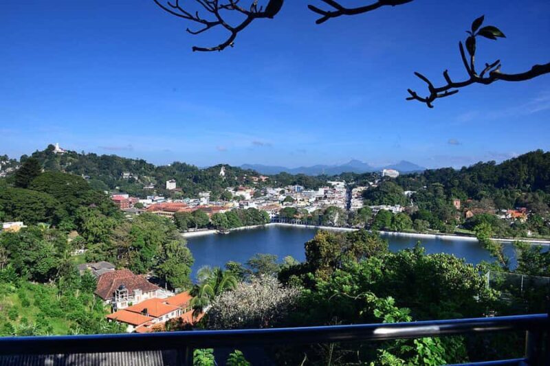 From Kandy : Pinnawala & Ambuluwawa Tower Tuk Tuk Tour - The Scenic Drive Through Villages and Tea Gardens