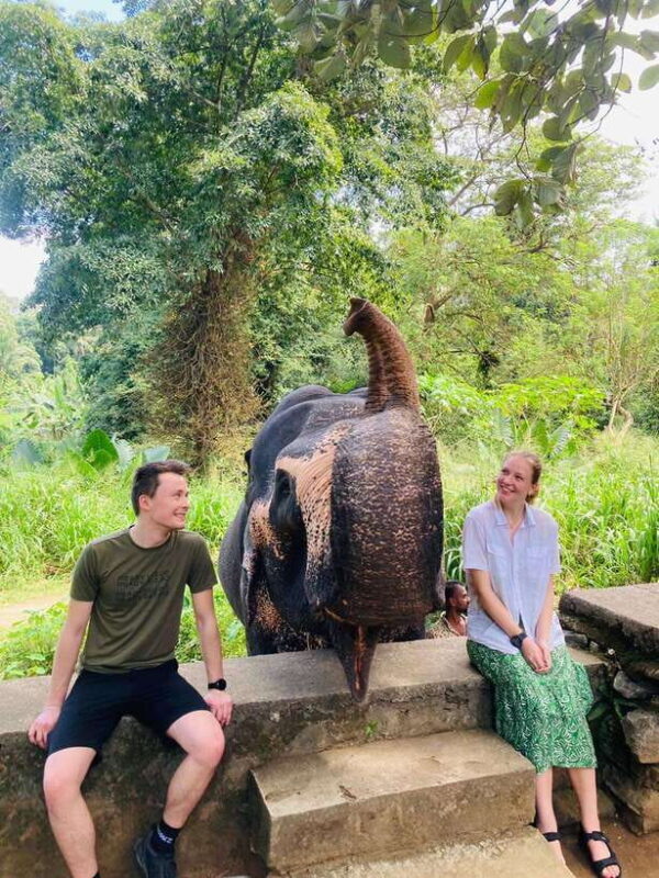 From Kandy : Pinnawala Elephant Orphanage & Ambuluwawa Tower - Good To Know