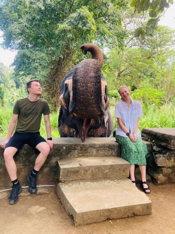 From Kandy : Pinnawala Elephant Orphanage & Ambuluwawa Tower - The Sum Up