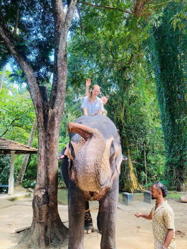 From Kandy : Pinnawala Elephant Orphanage & Ambuluwawa Tower - Final Thoughts