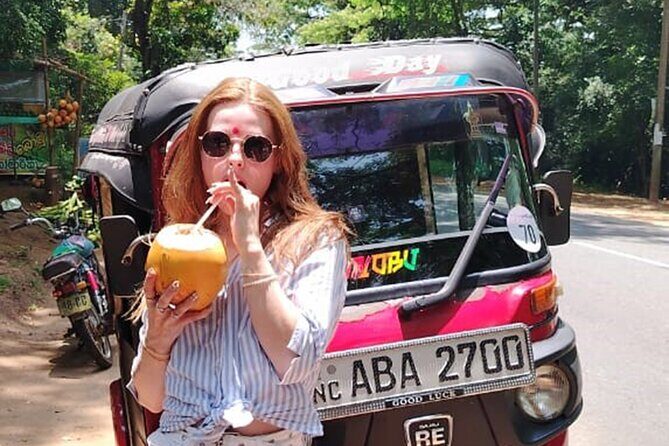 From Kandy: Private Sigiriya & Minneriya Elephant Safari Day Tour - Good To Know