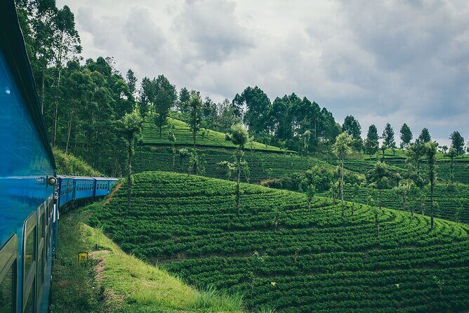 From Kandy: Second/Third Class Scenic Train Ticket to Ella - An Authentic Journey through Sri Lanka’s Scenic Heartland