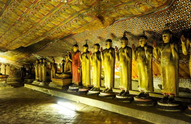 From Kandy: Sigiriya and Dambulla Day Trip - Customer Reviews and Recommendations