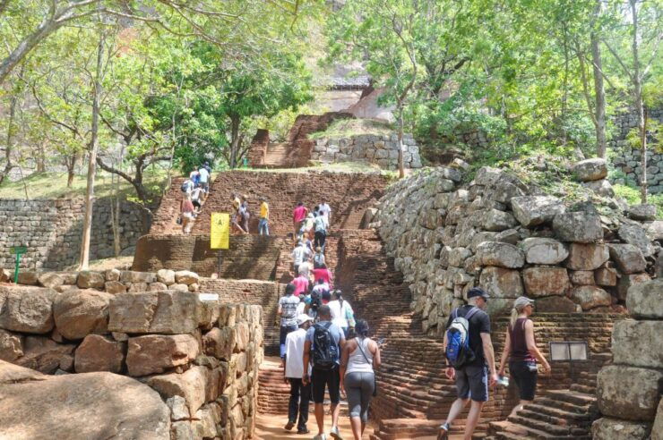From Kandy: Sigiriya and Dambulla Private Day Tour - Activity Details