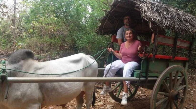 From Kandy: Sigiriya and Pidurangala Rock Tuk Tuk Safari - Final Thoughts  