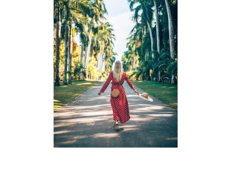 From : Kandy, Sigiriya, Dambulla Guided Day Tours for 2 Days - Flexibility and Personalization