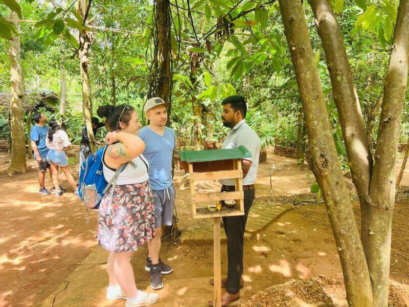 From Kandy: Sigiriya Day Tour with Elephant Safari(group) - Introduction