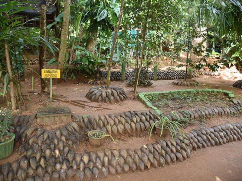 From Kandy: Sigiriya Guided Tuk-Tuk Tour - Good To Know