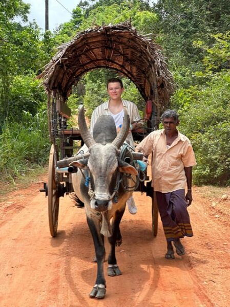 From Kandy: Sigiriya Rock and Village Safari Day Trip - What to Expect