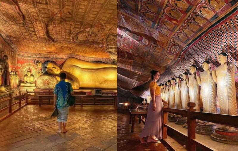 From Kandy: Sigiriya Rock Dambulla & Minneriya Jeep Safari - Minneriya National Park Safari: Wildlife in Action