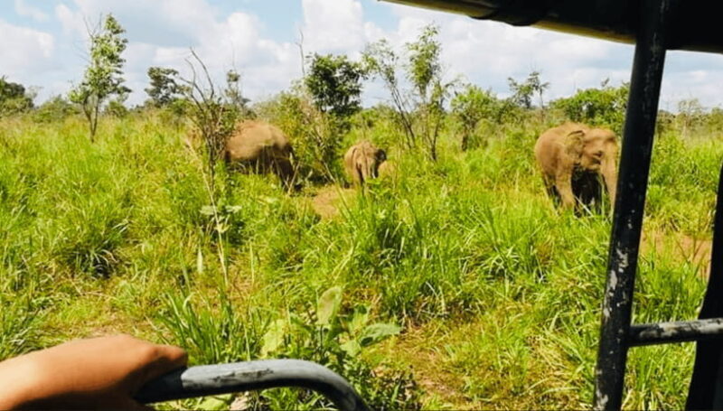 From Kandy: Sigiriya Rock Fortress and Wildlife Safari - Exploring the Sigiriya Rock Fortress
