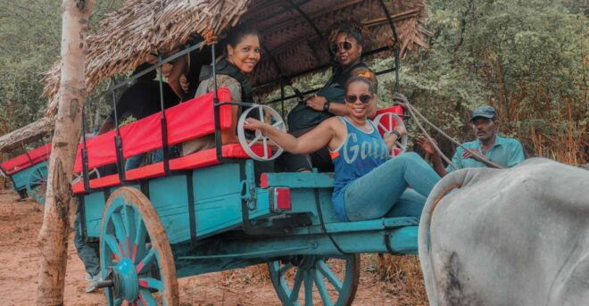 From Kandy: Sigiriya Rock, Village Tour and Minneriya Park - Highlights of the Tour